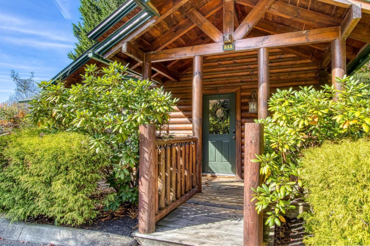 Dog Friendly, Romantic Mtn Getaway Hot Tub Pool 개틀린버그 외부 사진