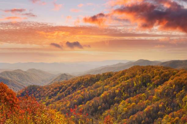 Dog Friendly, Romantic Mtn Getaway Hot Tub Pool 개틀린버그 외부 사진
